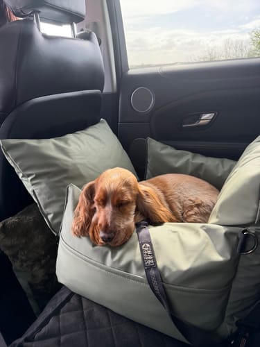 Customer photo review of The Dog Dock V2 New & Improved with ISO Fix