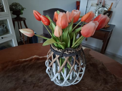 Customer photo review of Kunsttulpen Vermeer Zalmkleur 31cm