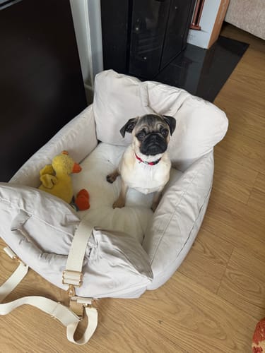 Customer photo review of Marshmallow | The Puffer Car Seat