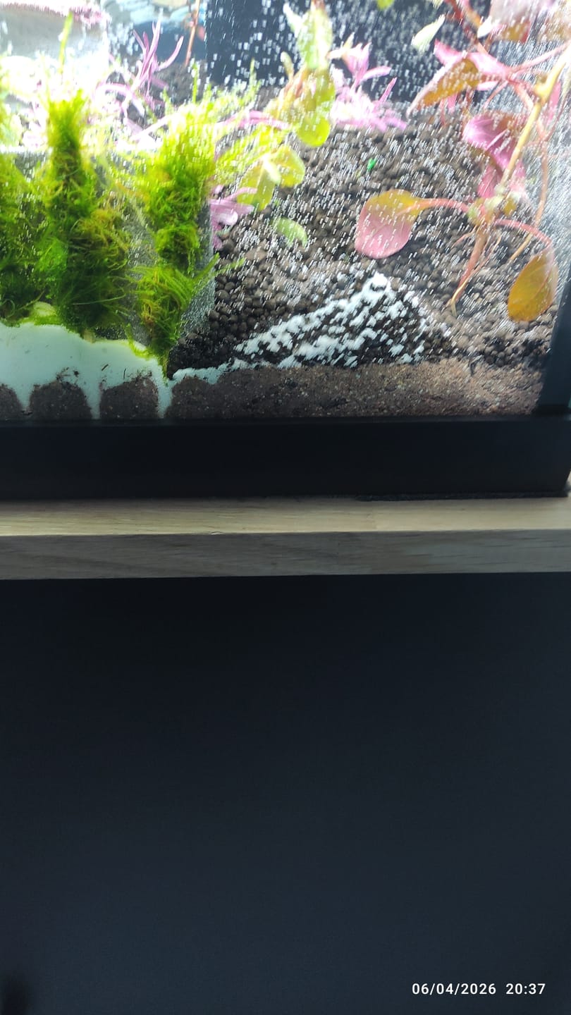 Customer photo review of Substrat Nutritif ProFlora AquaBasis Plus JBL - 5L