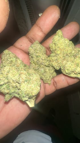 Customer photo review of Cheap THCA Flower Pound