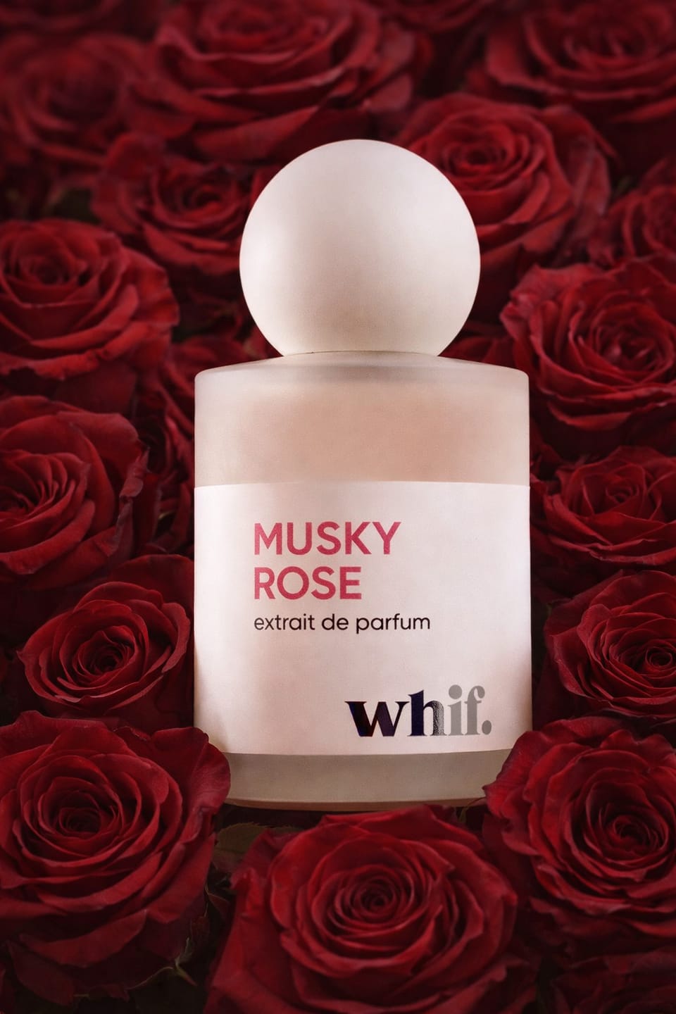 Customer photo review of Musky Rose