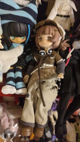 Customer's Electronic Pet Game doll with brown hair and a cute explorer outfit, sitting among other dolls on a shelf.