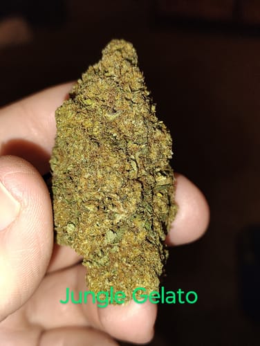 Gelato Kush - Bulk - Indica photo review