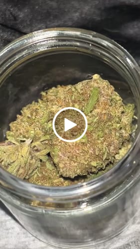 Customer video review of White Cherries THCA Flower