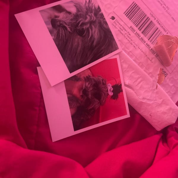 Customer photo review of Retro Photo Prints