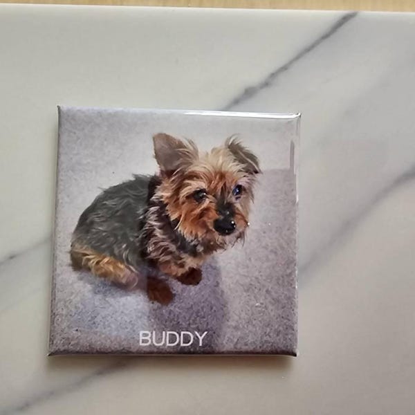 Customer photo review of Fridge Photo Magnets