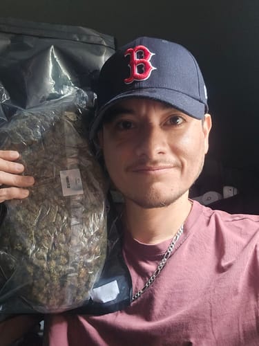 Customer photo review of Sour Diesel - Greenhouse THCA (Medium Size)