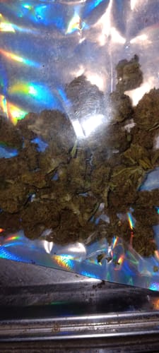 Durban Poison - Bulk - Sativa photo review