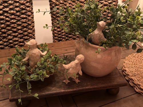 Customer photo review of Playful Ducklings Set