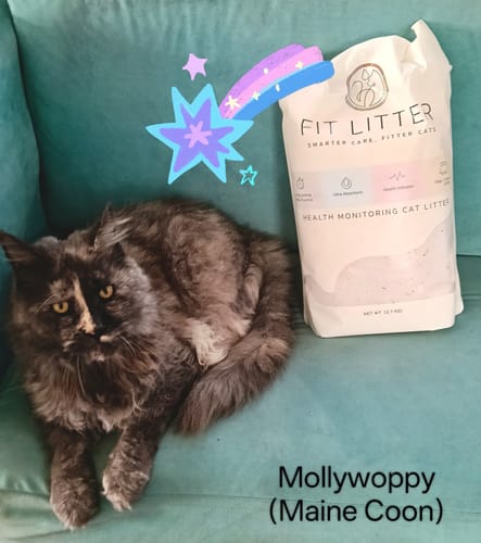 Customer photo review of Fit Litter