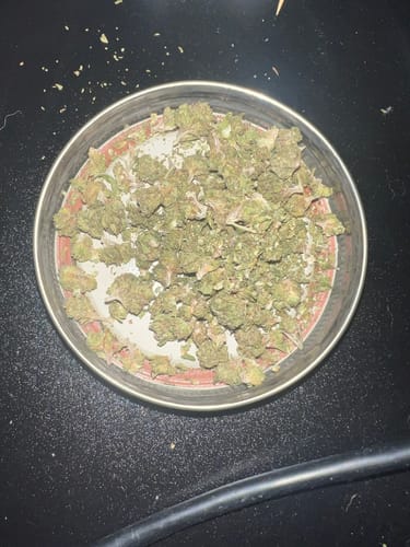 Customer photo review of Lemon Cherry Gelato | THCA Flower Smalls