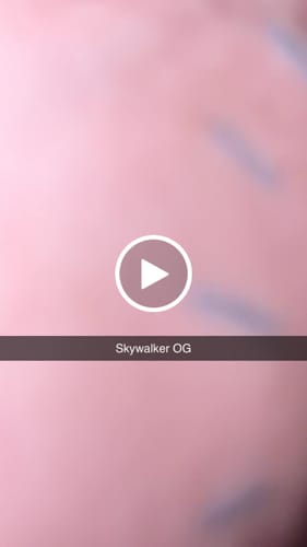 Customer video review of Cheap THCA Flower Quarter Pound