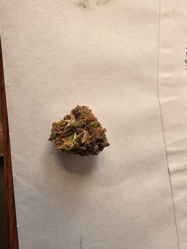 Customer photo review of Purple Punch Outdoors 14g