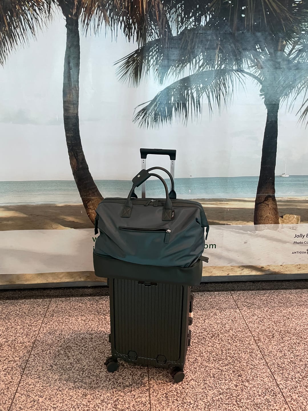 Customer photo review of Weekender Dust Cover