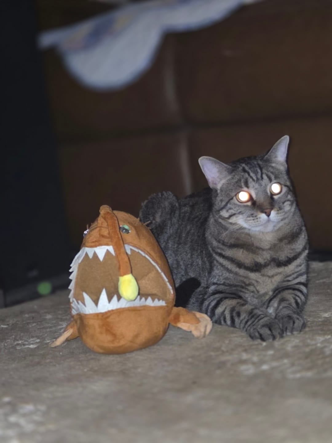 Customer photo review of Anglerfish Soft Stuffed Plush Toy