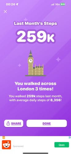 Customer photo review of Budapest Virtual Challenge