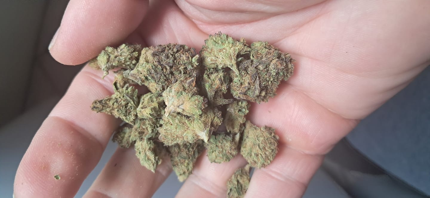 Customer photo review of Wedding Crasher - Bulk - Indica