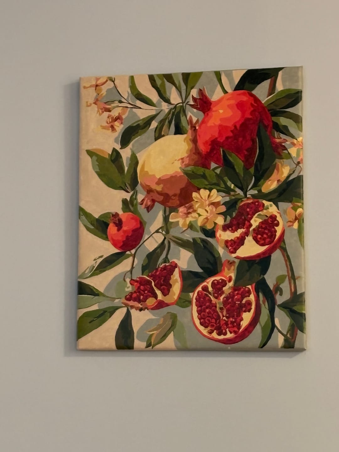 Customer photo review of Blooming pomegranates | Paint by Number