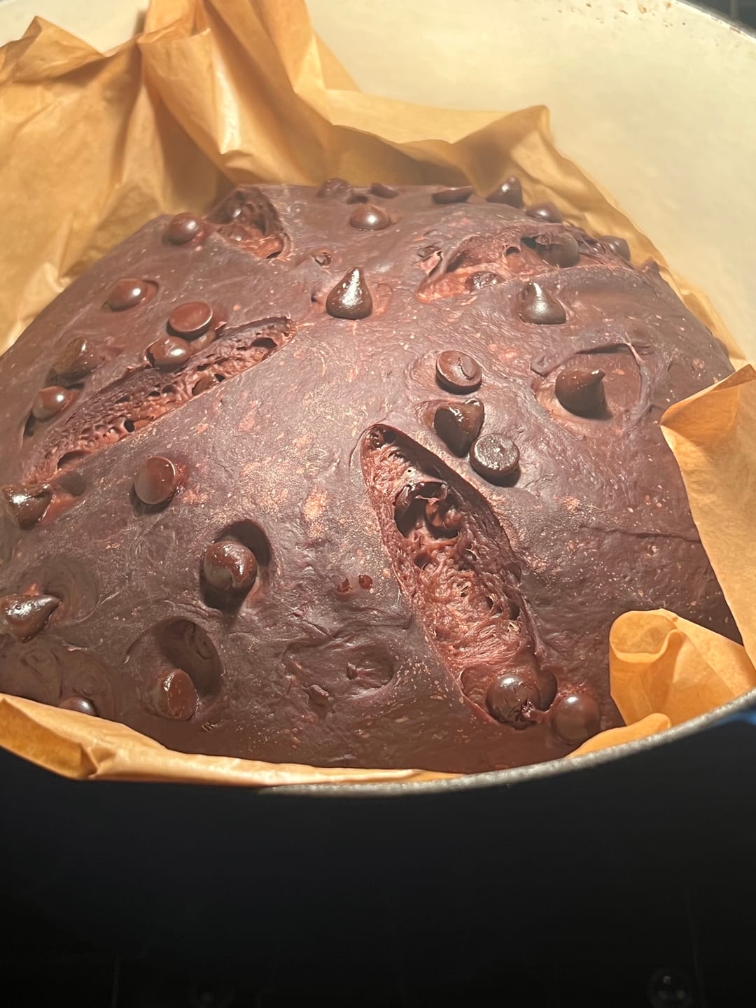 Customer photo review of Live 119 Year Old Valrhona CHOCOLATE Sourdough Starter Includes Maintenance PDF & Chocolate Noir Loaf Recipe
