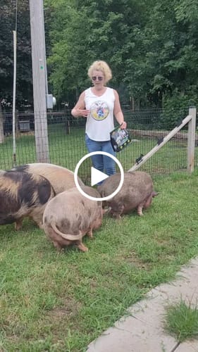 Customer video review of OptiWize Collagen +Plus Livestock Joint Supplement