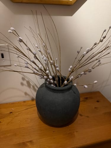 Customer photo review of Pussy Willow Stem | Early Access Release