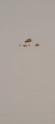 Customer photo review of Nugget Reserve 'MUSEUM SPECIMEN CHASE' - Gold Panning Paydirt Concentrate