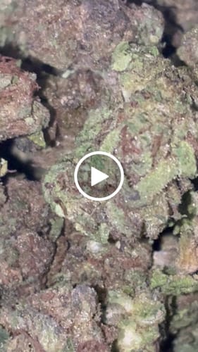 Mochi Gelato - Bulk - Indica photo review