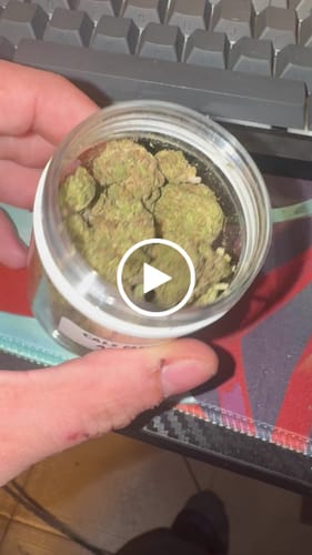 Customer video review of CALI MIX AAA+ – Premium Selection