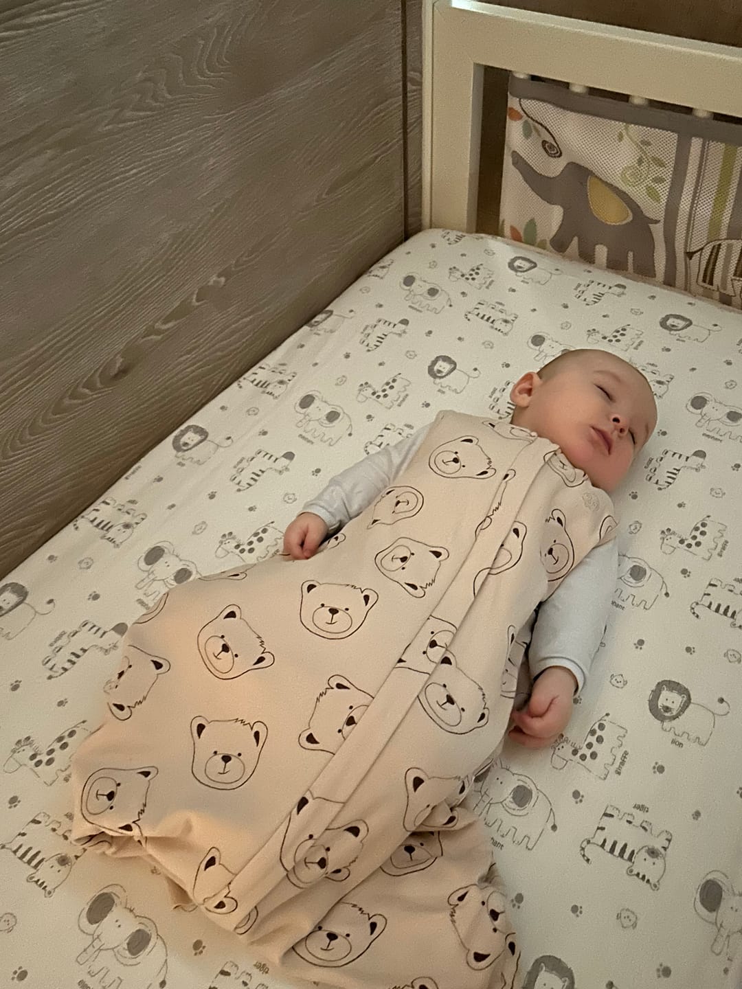 Customer photo review of 4 Season® Baby Sleep Bag with Feet, Merino Wool & Organic Cotton, Teddy Bear