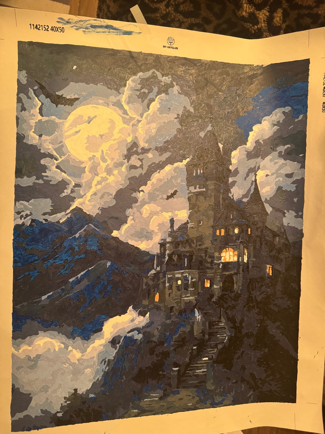 Customer photo review of Dracula`s mansion | Paint by Number