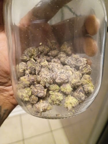 Customer photo review of Shipping Protection by Route