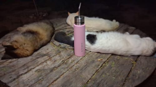 Customer photo review of ALTO MATE® - Acero Inoxidable