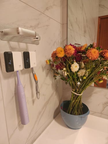 Customer photo review of Oralux UV Toothbrush Sanitizer