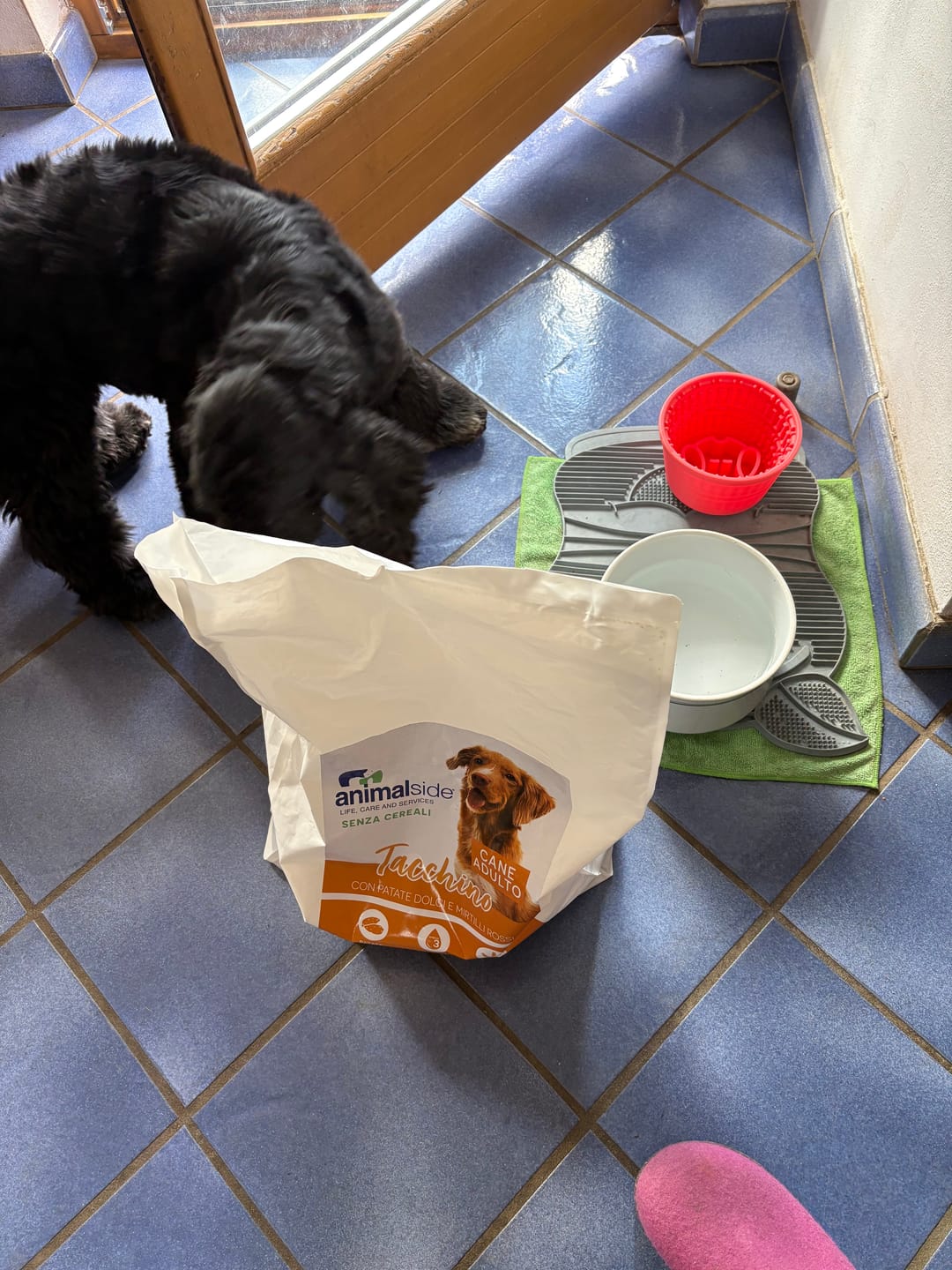 Customer photo review of Linea Grain Free - Tacchino con Patate Dolci e Mirtilli Rossi - Cane Adulto