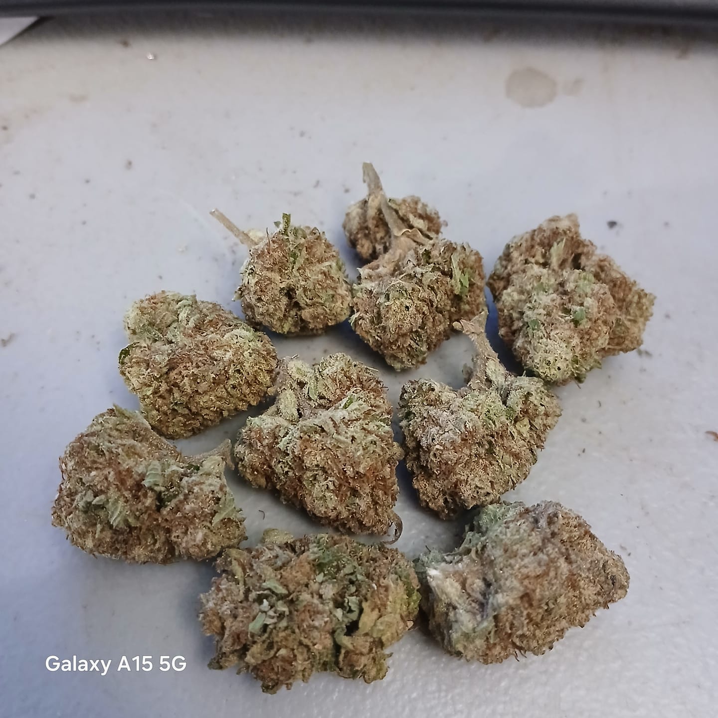 Customer photo review of Raspberry Kush - 28 Grams - Indica