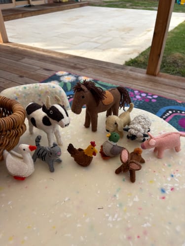 Customer photo review of Felt Farm Animals Toys Set - Set of 10 Toys