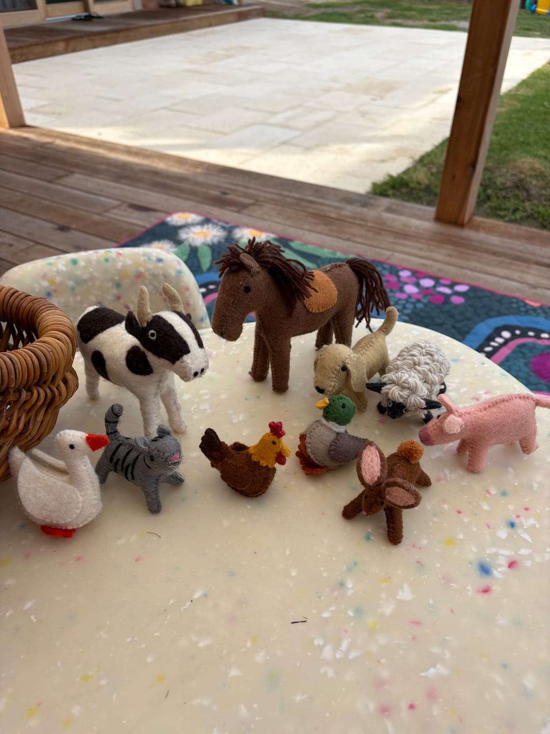 Customer photo review of Felt Farm Animals Toys Set - Set of 10 Toys