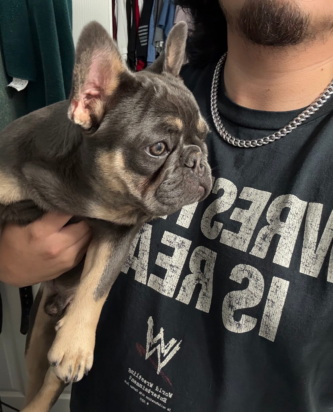 Customer photo review of Cuban Link Chain 10mm - Silver RG165