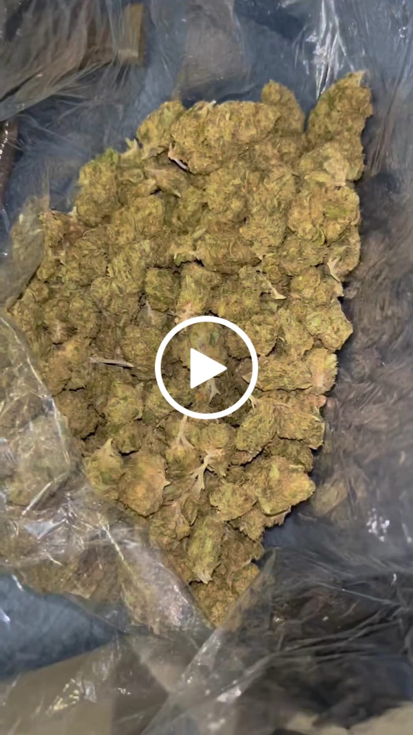 Customer video review of Maui Wowie - Bulk - Sativa
