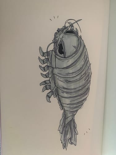 Customer photo review of Giant Isopod Soft Stuffed Plush Toy