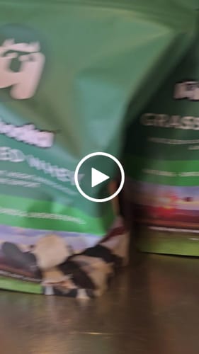 Customer video review of Grass Fed Whey Protein Unflavoured Natural 1kg (33 servings)