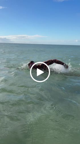 Customer video review of NanoClear™ Strike Swim Goggles Sunrise Mirror - (Blue/Red)