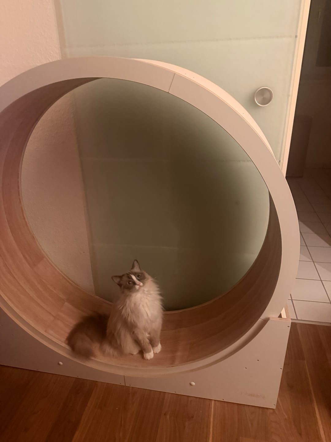 Customer photo review of Elmato Katzenlaufrad Ersatztbelag Teppich & Vinyl 10759