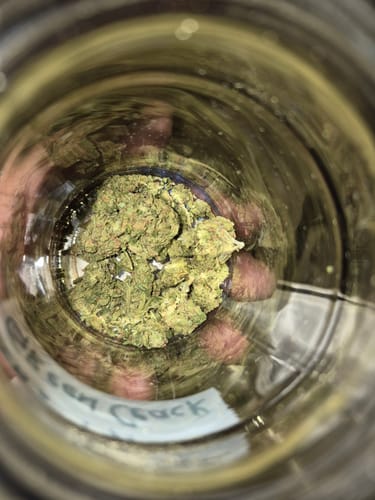 Customer photo review of Shipping Protection by Route