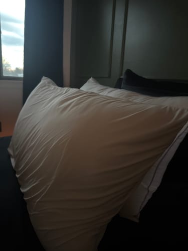 Customer photo review of Waterproof & Stain-Resistant Hotel Pillow