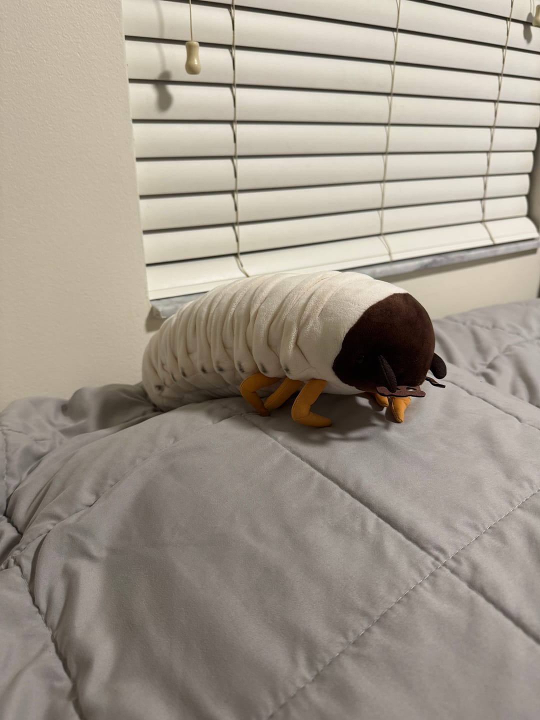 Customer photo review of White Grub Soft Stuffed Plush Toy