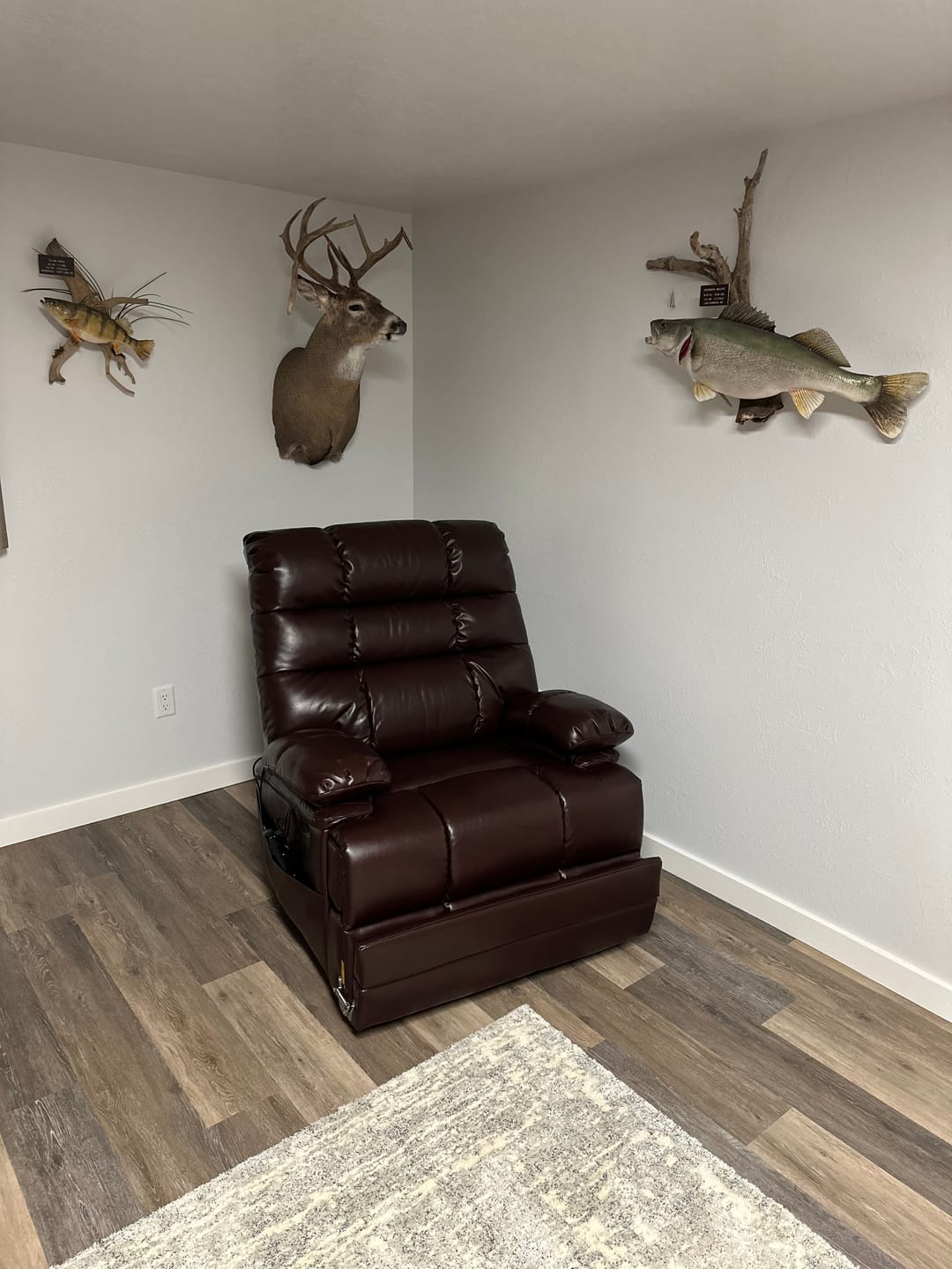 Customer photo review of 9205L Large-Wide/Tall Big Man Power Lift Recliner - Dual Motor, 400 LBS, Heat & Massage