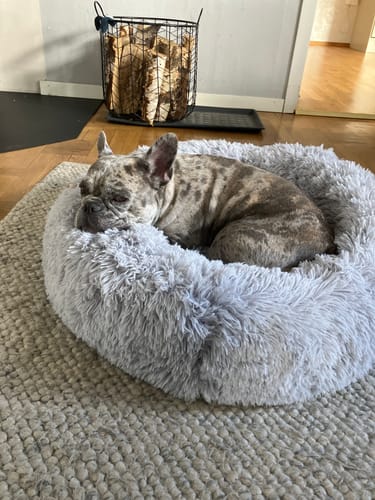 Customer photo review of CalmBed - Motverkar stress & hjälper mot ångest