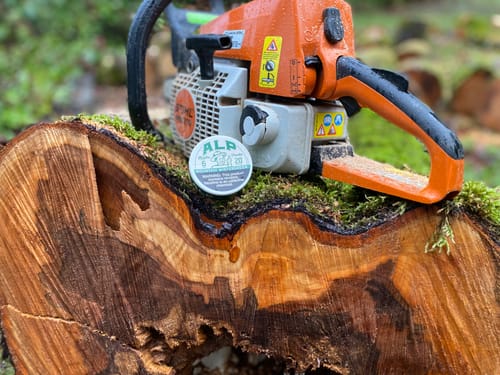 Customer's tin of Refreshing Chill Nicotine Pouches resting on a mossy tree stump next to a chainsaw.